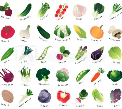 chart of watercolor vegetables