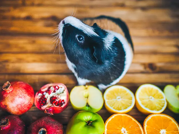 Are guinea pigs cheap allowed to eat bananas