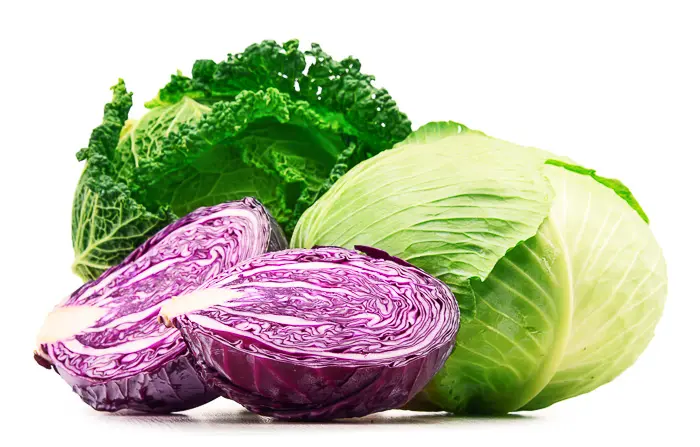 red and green cabbage being chopped and served