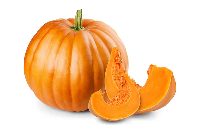 Can Dogs Eat Pumpkin? - Harveysgussmeat.com