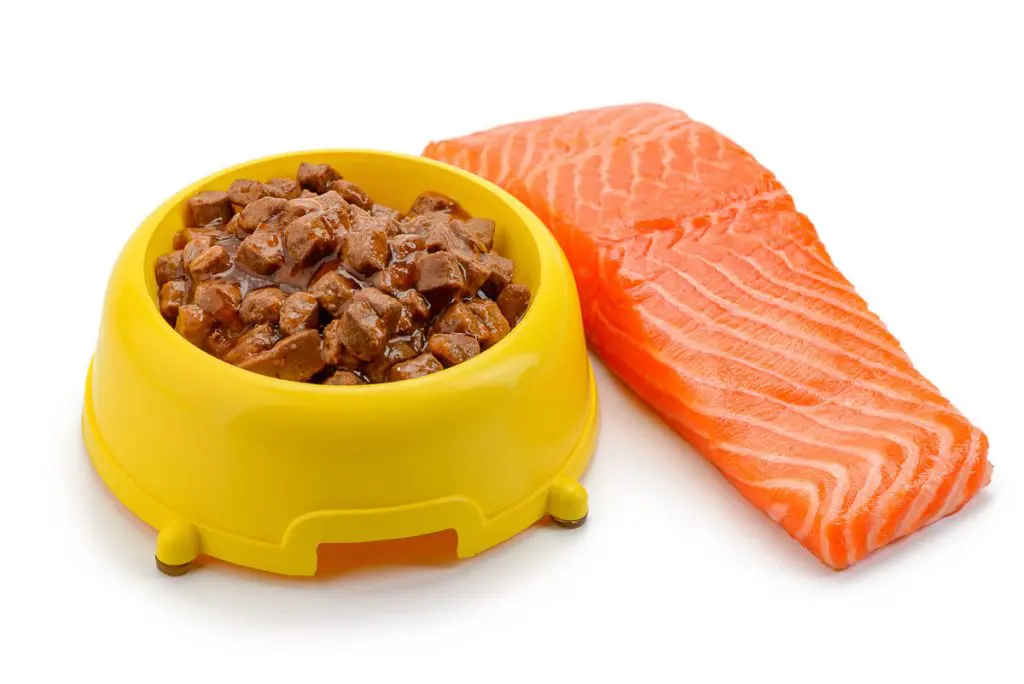 is too much salmon bad for dogs