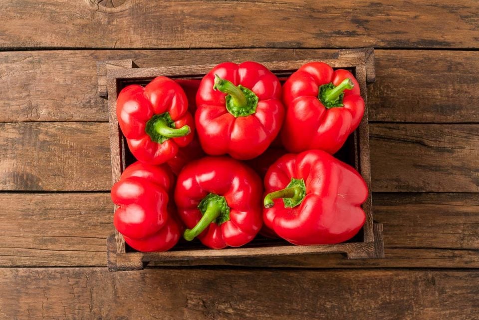 Can Hamsters Eat Peppers? Vet Explains Pets