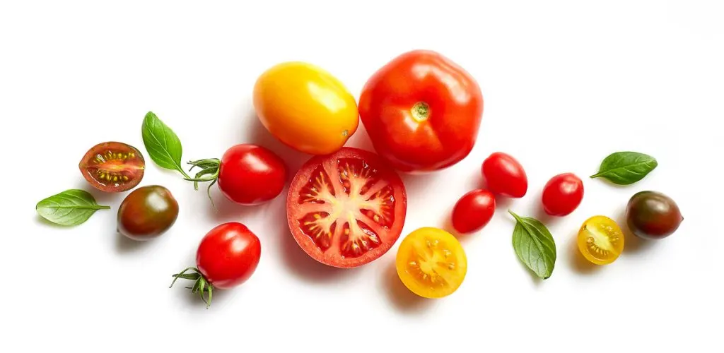 different colored tomatoes on white background