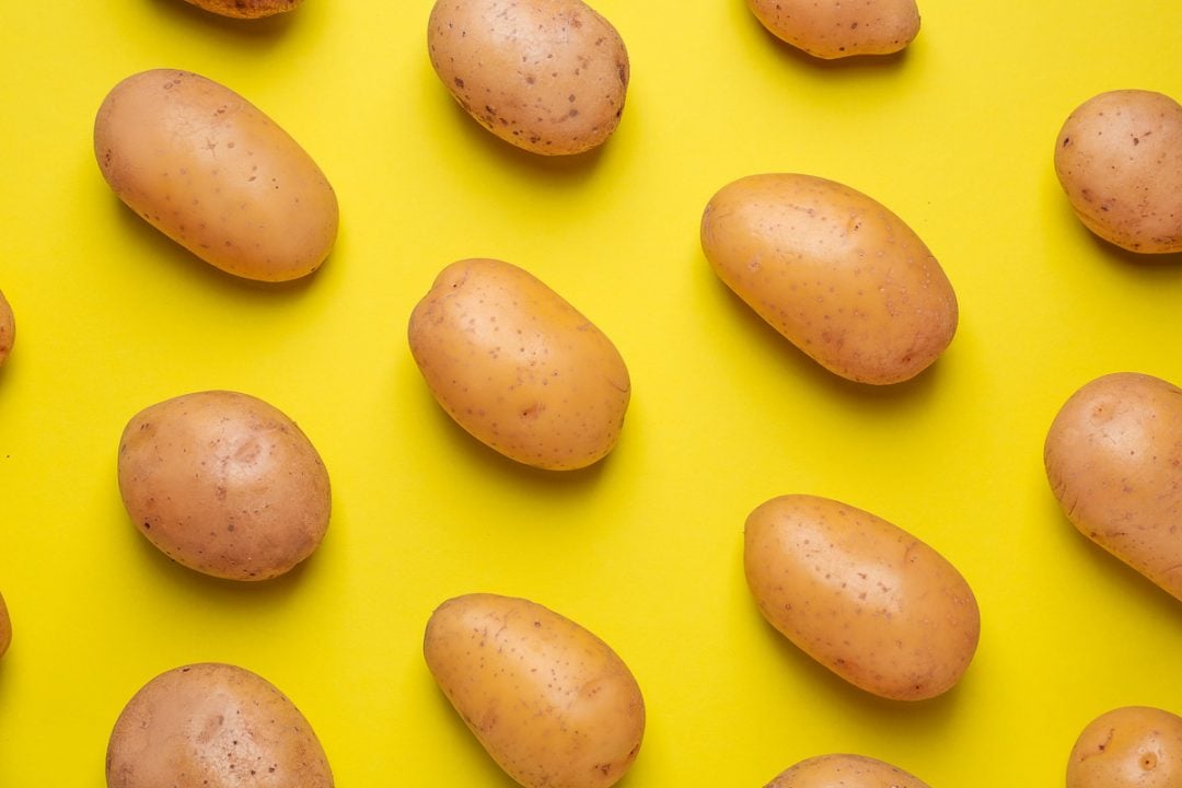 Can Dogs Eat Potatoes? Vet Explains Pets