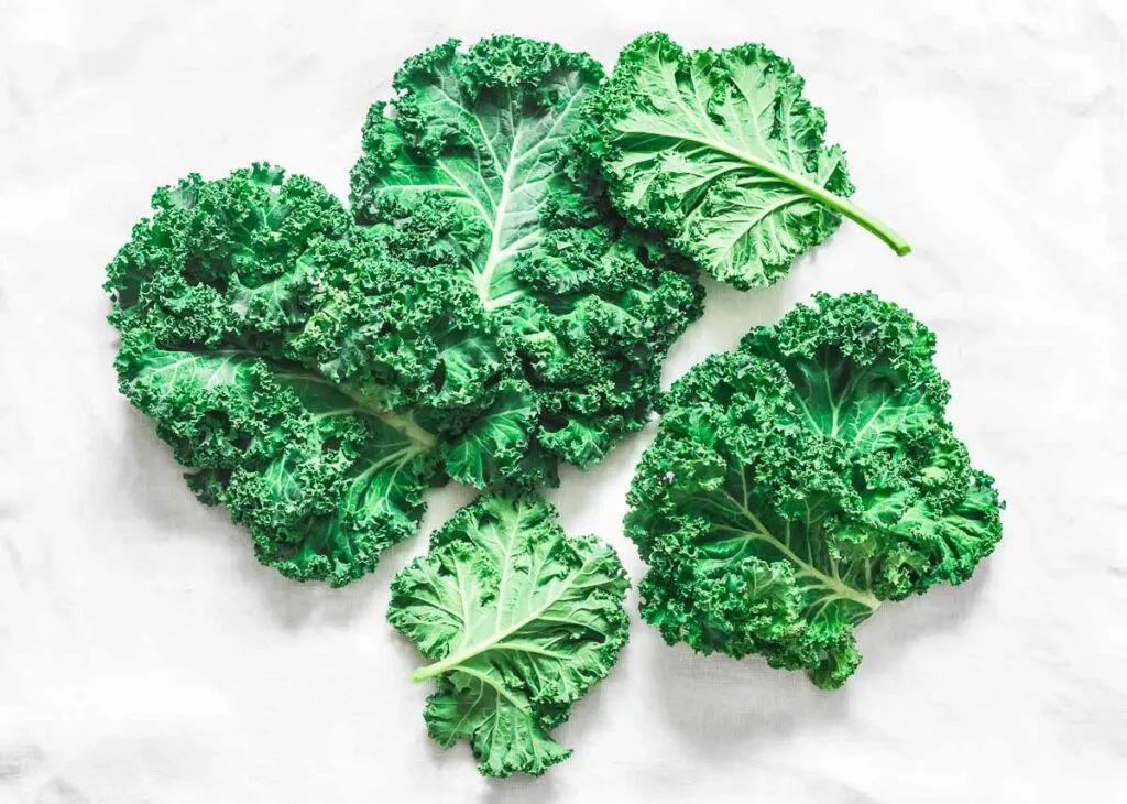 green kale leaves on white paper background